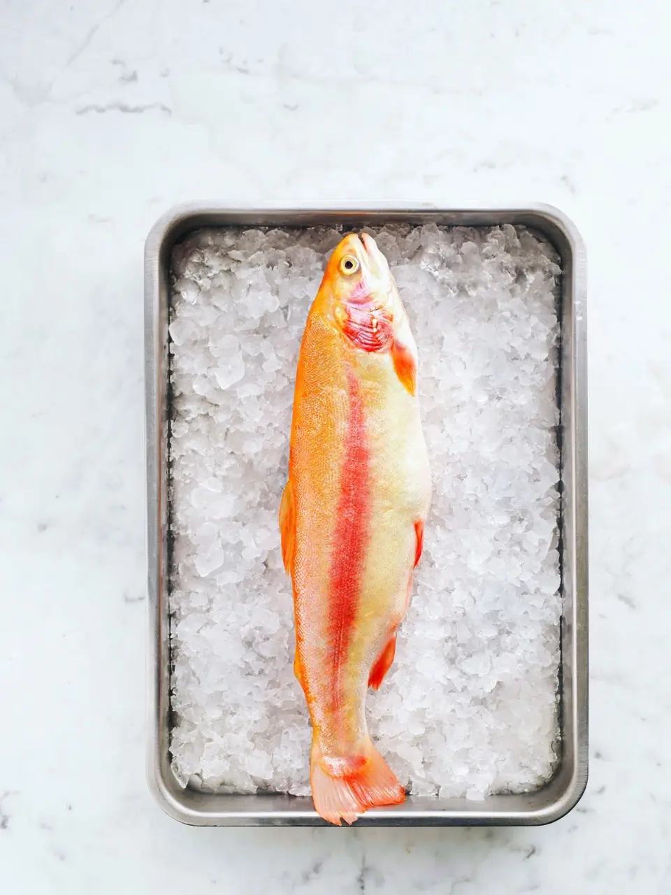 A whole trout on crushed ice in a steel tray